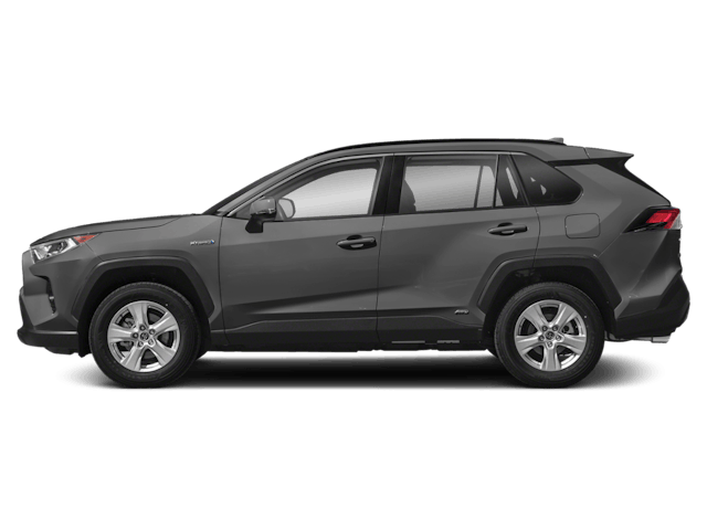2019 Toyota RAV4 Sport Utility